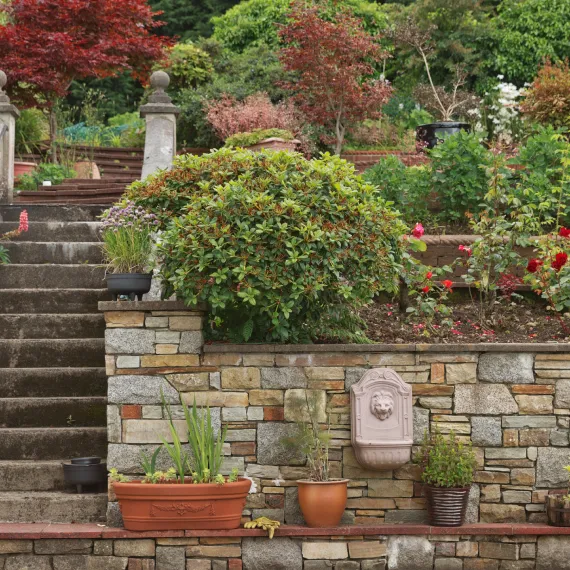 Hardscaping Services