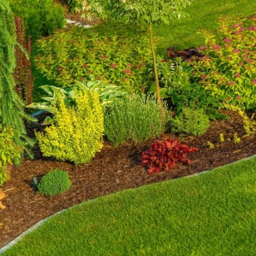 Landscaping Services 1