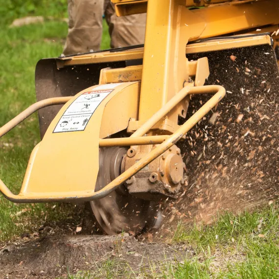 Stump Removal Services